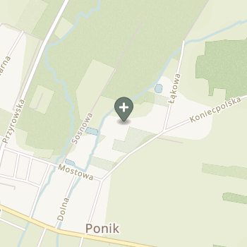 Tomasz Kulicki na mapie