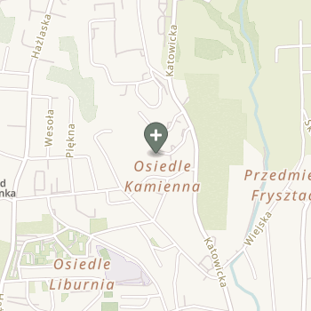 Maria Złoto na mapie