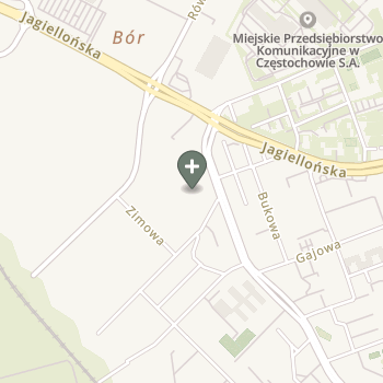 Paulina Kubot-Wojtasińska na mapie