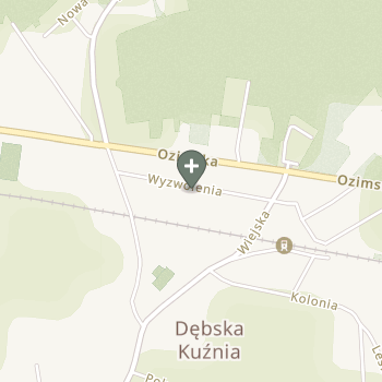 Tomasz Bochenek na mapie