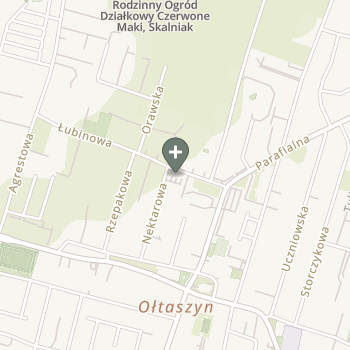 Aleksandra Rupotacka na mapie