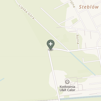 Dominik Surma na mapie