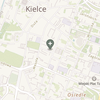 Kamil Salwa na mapie