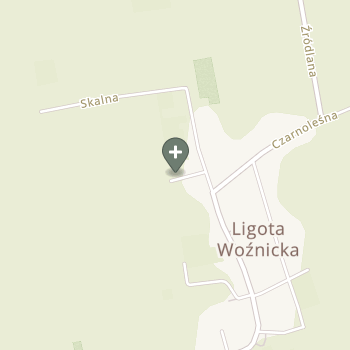 Patrycja Boguwolska na mapie