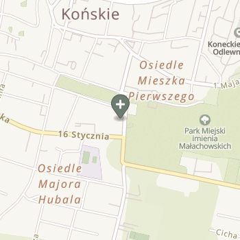 Magdalena Kosmulska na mapie