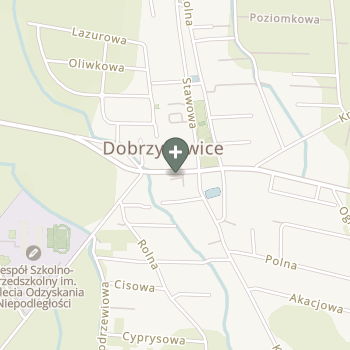 Dagmara Gatkowska na mapie