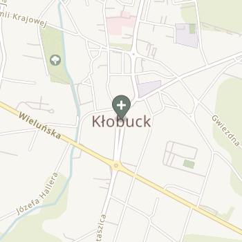 Paulina Janikowska na mapie