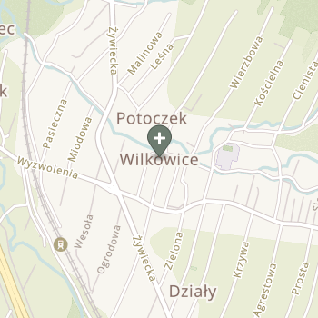 Marzena Bednarczyk-Bokun na mapie