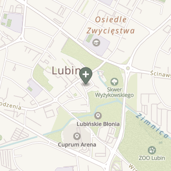 Aleksandra Chomińska na mapie