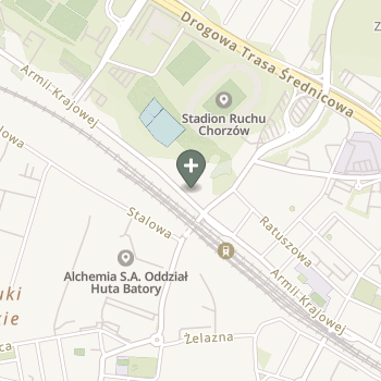 Aleksandra Szołtys na mapie