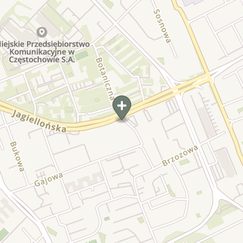 Damian Kisiel na mapie