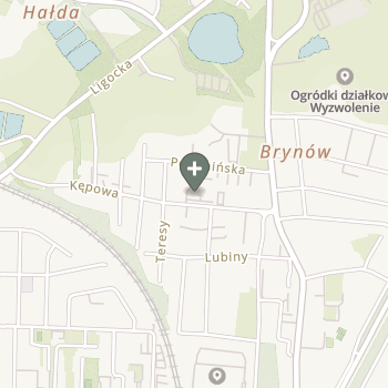 Dominika Lauer na mapie