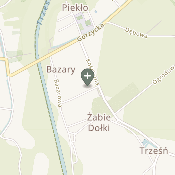 Paulina Maj na mapie