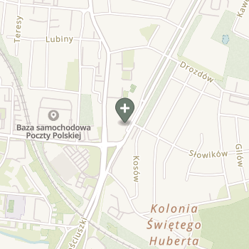 Marcin Jankowski na mapie