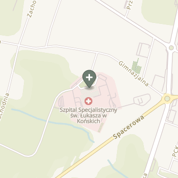 Praktyka Fizjoterapeutyczna na mapie