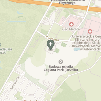 Dawid Mazur na mapie