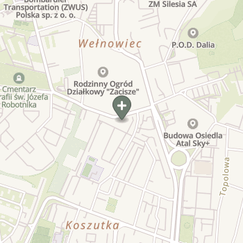 Aneta Gutowska na mapie