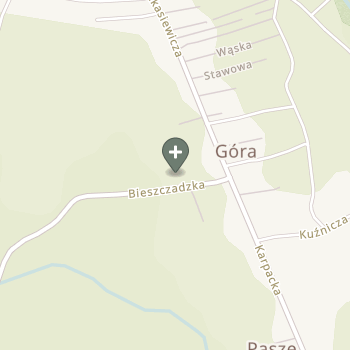 Kinga Mazur na mapie