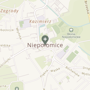 Agnieszka Bochenek na mapie