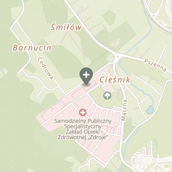Praktyka Fizjoterapeutyczna na mapie