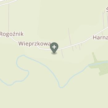 Małgorzata Stęchły na mapie