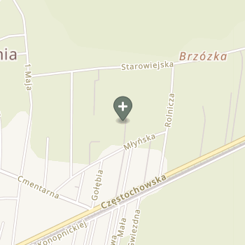 Katarzyna Borycka na mapie