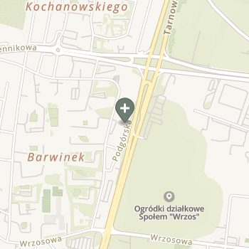 Jolanta Wiśniowska-Kita na mapie