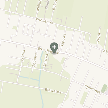 Agata Cisowska na mapie