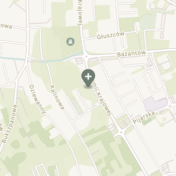 Tomasz Gurzkowski na mapie