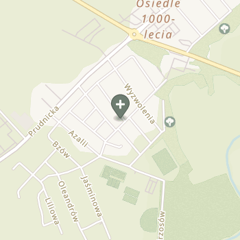 Paulina Szetela na mapie