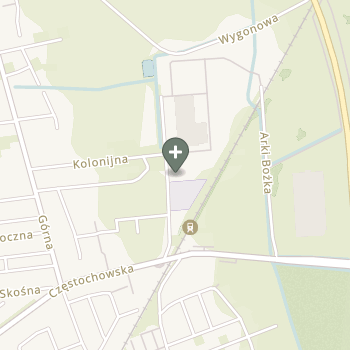 Natalia Hryniewicz na mapie