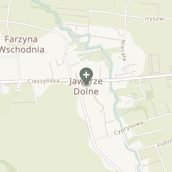 Joanna Dziedzic na mapie