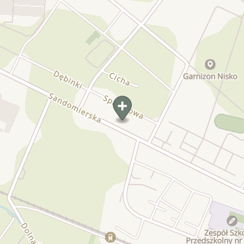 Diana Przybylska na mapie