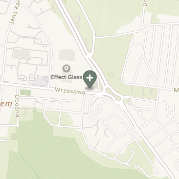 Kamil Zając na mapie