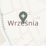 Praktyka Fizjoterapeutyczna na mapie