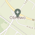 Praktyka Fizjoterapeutyczna na mapie