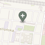 Praktyka Fizjoterapeutyczna na mapie