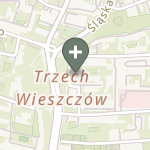 Praktyka Fizjoterapeutyczna na mapie