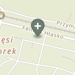 Praktyka Fizjoterapeutyczna na mapie