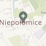 Praktyka Fizjoterapeutyczna na mapie
