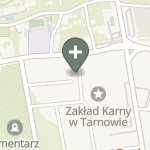 Praktyka Fizjoterapeutyczna na mapie
