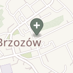Praktyka Fizjoterapeutyczna na mapie