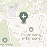 Praktyka Fizjoterapeutyczna na mapie