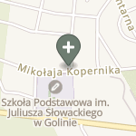 Praktyka Fizjoterapeutyczna na mapie