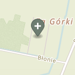 Praktyka Fizjoterapeutyczna na mapie