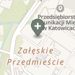 Praktyka Fizjoterapeutyczna na mapie