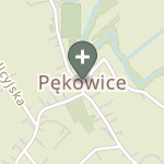 Praktyka Fizjoterapeutyczna na mapie