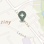 Praktyka Fizjoterapeutyczna na mapie
