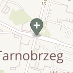 Praktyka Fizjoterapeutyczna na mapie