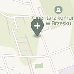 Praktyka Fizjoterapeutyczna na mapie